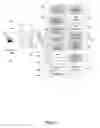 Fig. 04 - Automated image ads