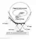 Fig. 05 - 3D body scanner data processing flow