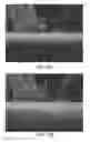 Fig. 09 - Out-of-core point rendering with dynamic shapes