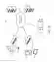 Fig. 03 - Door locks and assemblies for use in wireless guest engagement systems
