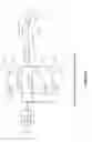 Fig. 02 - Phonation Style Detection