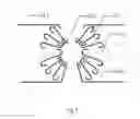Fig. 08 - Wrapping method for common mode inductor