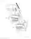 Fig. 05 - Charged particle beam apparatus and sample elevating apparatus