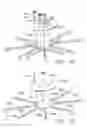 Fig. 29 - Symmetrical plural-coil plasma source with side RF feeds and RF distribution plates