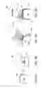 Fig. 04 - Plasma irradiation apparatus and plasma irradiation method