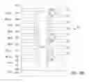 Fig. 35 - Apparatuses and methods for forming multiple decks of memory cells