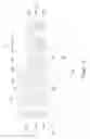 Fig. 06 - Vertical gate all around (VGAA) devices and methods of manufacturing the same