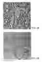 Fig. 06 - Optical downshifting layer