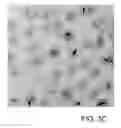 Fig. 07 - Optical downshifting layer