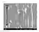 Fig. 04 - Steel foil for electrical storage device container, container for electrical storage device, and electrical storage device