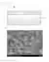 Fig. 03 - CATHODE FOR LITHIUM-SULFUR BATTERY, MANUFACTURING METHOD THEREFOR, AND LITHIUM-SULFUR BATTERY CONTAINING SAME