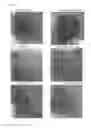 Fig. 08 - Binder for lithium cell, composition for producing electrode, and electrode