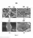 Fig. 06 - NANOFIBER ELECTRODE AND METHOD OF FORMING SAME
