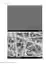 Fig. 04 - Method for manufacturing electrolyte membrane for solid oxide fuel cell, electrolyte membrane for solid oxide fuel cell, solid oxide fuel cell, and fuel cell module