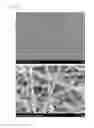 Fig. 06 - Method for manufacturing electrolyte membrane for solid oxide fuel cell, electrolyte membrane for solid oxide fuel cell, solid oxide fuel cell, and fuel cell module