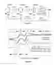 Fig. 07 - Organic anolyte materials for flow batteries