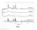 Fig. 04 - Solid electrolyte and preparing method thereof