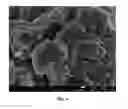Fig. 05 - Solid electrolyte and preparing method thereof
