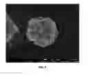 Fig. 06 - Solid electrolyte and preparing method thereof