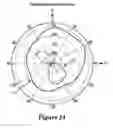 Fig. 12 - Hearing device incorporating conformal folded antenna
