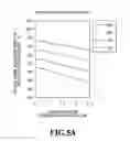 Fig. 06 - Polarization multiplexing optical transmission circuit and polarization multiplexing optical transmission and reception circuit