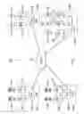Fig. 06 - Source address translation in overlay networks