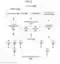 Fig. 04 - Distributed resource scheduling based on network utilization