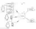 Fig. 01 - Mobile caller authentication for contact centers