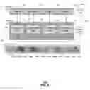 Fig. 07 - System and method for actor oriented architecture for digital service transactions based on common data structures