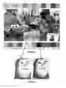 Fig. 02 - Method of printing full colour images