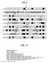 Fig. 07 - Image processing apparatus, image processing method, and non-transitory recording medium