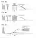 Fig. 07 - Imaging apparatus and imaging system
