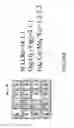 Fig. 46 - Image sensor, image-capturing apparatus and image-capturing system