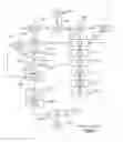 Fig. 09 - Method and apparatus for incorporating web based selection into graphics system