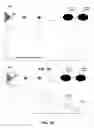 Fig. 20 - Signal fingerprinting for authentication of communicating devices