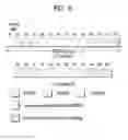 Fig. 06 - Method and apparatus for measuring D2D signal or selecting relay in wireless communication system