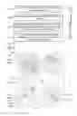 Fig. 04 - APPARATUS AND METHOD FOR ASSESSING A RELATIVE DISTANCE OF PERSONS AND OBJECTS