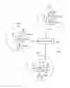 Fig. 01 - Telecommunications systems and methods for machine type communication