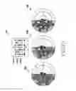 Fig. 23 - Method and apparatus for processing random access in wireless communication system