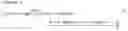 Fig. 03 - Method and apparatus for random access to radio services