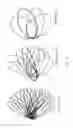 Fig. 12 - Methods for beam recovery in millimeter wave systems