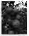 Fig. 01 - Apple tree named `Duke Fuji'