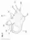 Fig. 03 - Convertible insulated smart glove
