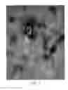 Fig. 07 - CLOSURES