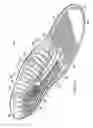 Fig. 03 - Shoe insole