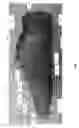 Fig. 03 - Footwear with internal harness