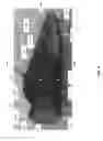Fig. 04 - Footwear with internal harness