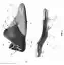 Fig. 06 - Footwear with internal harness
