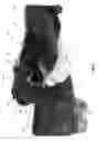 Fig. 07 - Footwear with internal harness