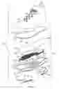 Fig. 03 - Sole structure having a midsole component with movable traction members